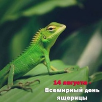 14 августа-Всемирный день ящерицы